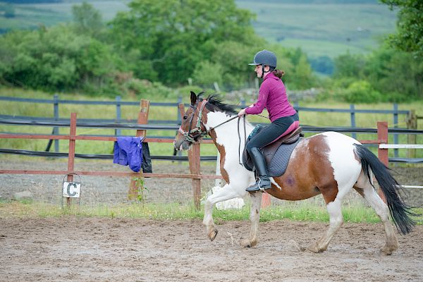 Snowdonia Riding Stables Taylor Croke Show Jumping Clinic