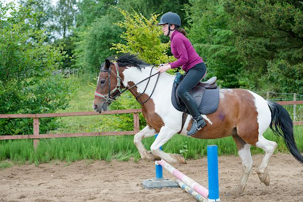 Snowdonia Riding Stables Taylor Croke Show Jumping Clinic