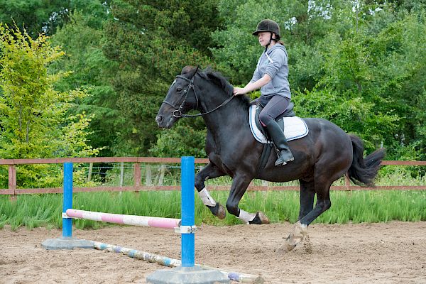 Snowdonia Riding Stables Taylor Croke Show Jumping Clinic