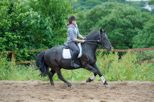 Snowdonia Riding Stables Taylor Croke Show Jumping Clinic