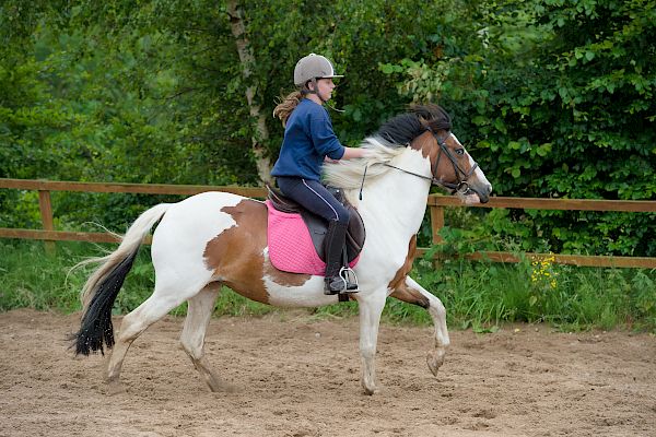 Snowdonia Riding Stables Taylor Croke Show Jumping Clinic