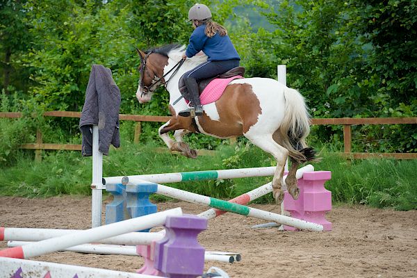 Snowdonia Riding Stables Taylor Croke Show Jumping Clinic