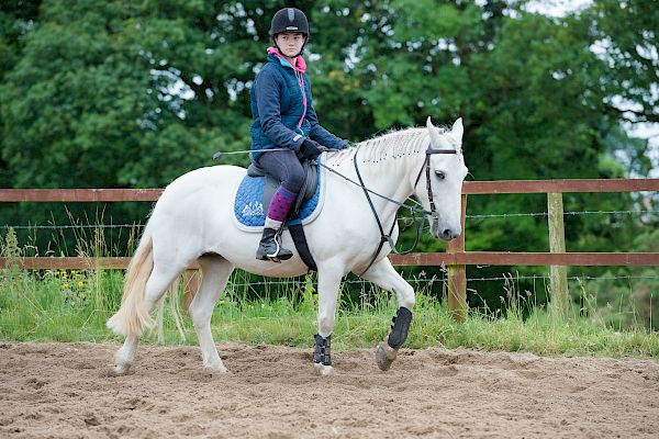 Snowdonia Riding Stables Taylor Croke Show Jumping Clinic