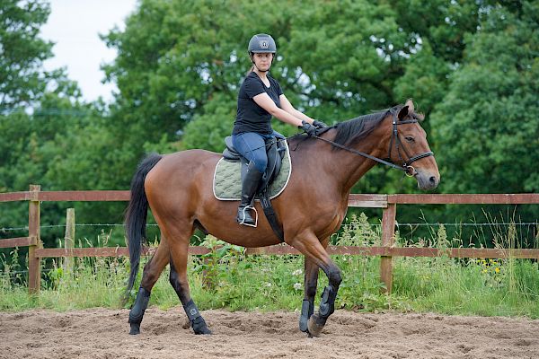 Snowdonia Riding Stables Taylor Croke Show Jumping Clinic