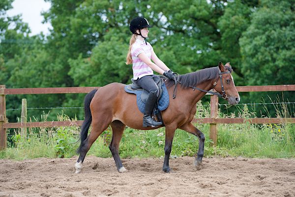 Snowdonia Riding Stables Taylor Croke Show Jumping Clinic