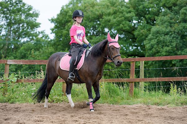 Snowdonia Riding Stables Taylor Croke Show Jumping Clinic