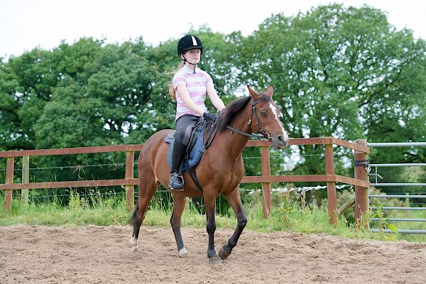 Snowdonia Riding Stables Taylor Croke Show Jumping Clinic