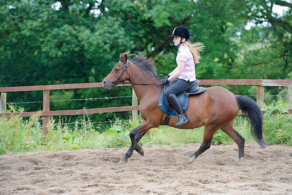 Snowdonia Riding Stables Taylor Croke Show Jumping Clinic