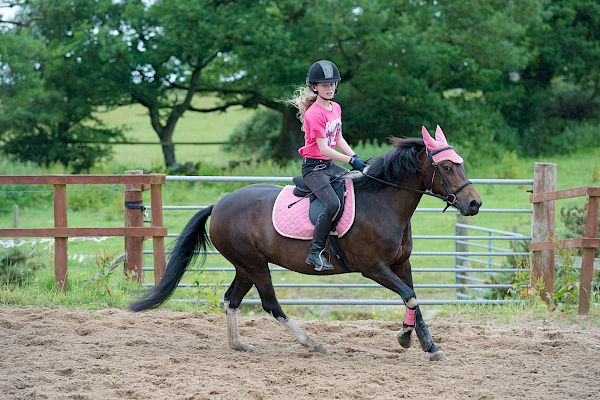 Snowdonia Riding Stables Taylor Croke Show Jumping Clinic