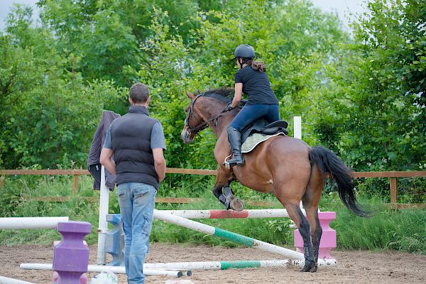 Snowdonia Riding Stables Taylor Croke Show Jumping Clinic