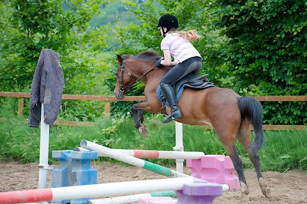 Snowdonia Riding Stables Taylor Croke Show Jumping Clinic