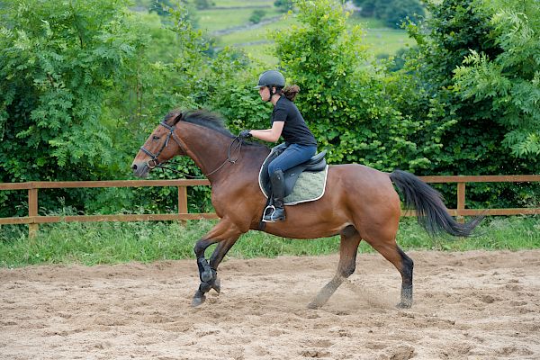 Snowdonia Riding Stables Taylor Croke Show Jumping Clinic