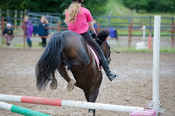 Snowdonia Riding Stables Taylor Croke Show Jumping Clinic