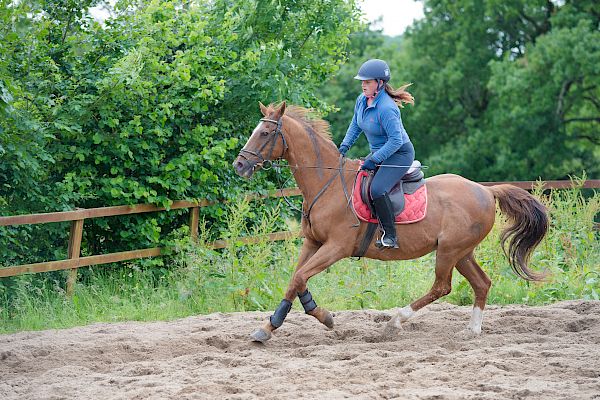 Snowdonia Riding Stables Taylor Croke Show Jumping Clinic