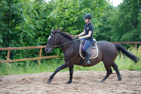 Snowdonia Riding Stables Taylor Croke Show Jumping Clinic