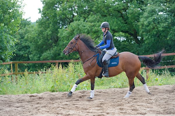 Snowdonia Riding Stables Taylor Croke Show Jumping Clinic