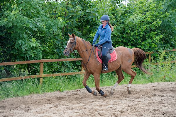 Snowdonia Riding Stables Taylor Croke Show Jumping Clinic