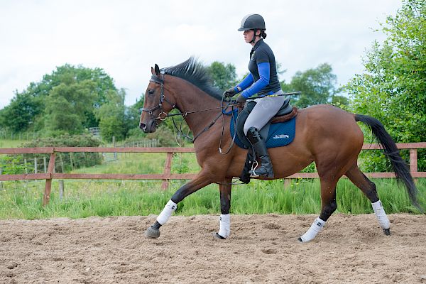 Snowdonia Riding Stables Taylor Croke Show Jumping Clinic