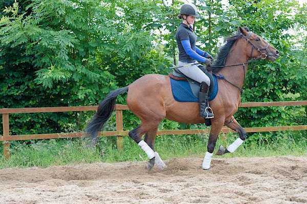 Snowdonia Riding Stables Taylor Croke Show Jumping Clinic