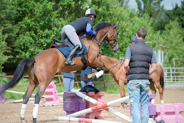 Snowdonia Riding Stables Taylor Croke Show Jumping Clinic