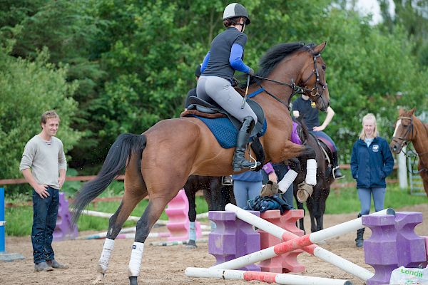 Snowdonia Riding Stables Taylor Croke Show Jumping Clinic