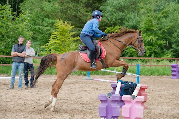 Snowdonia Riding Stables Taylor Croke Show Jumping Clinic