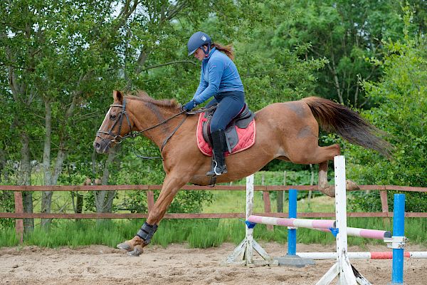 Snowdonia Riding Stables Taylor Croke Show Jumping Clinic