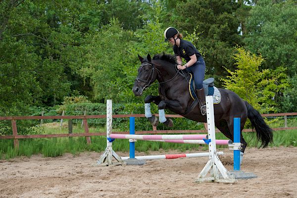 Snowdonia Riding Stables Taylor Croke Show Jumping Clinic