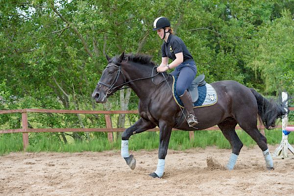 Snowdonia Riding Stables Taylor Croke Show Jumping Clinic