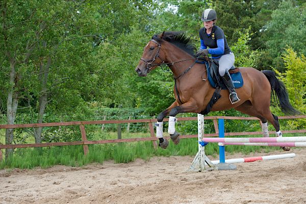 Snowdonia Riding Stables Taylor Croke Show Jumping Clinic