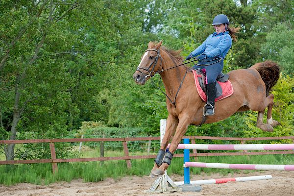 Snowdonia Riding Stables Taylor Croke Show Jumping Clinic