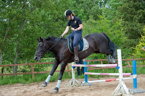 Snowdonia Riding Stables Taylor Croke Show Jumping Clinic