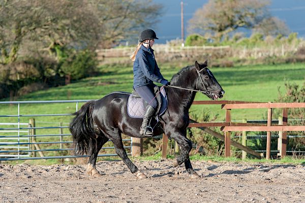 Snowdonia Riding Stables 23rd December