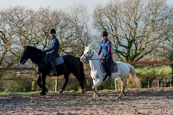 Snowdonia Riding Stables 23rd December