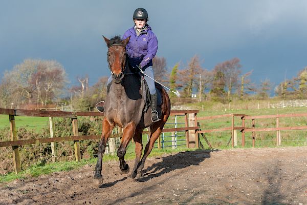 Snowdonia Riding Stables 23rd December