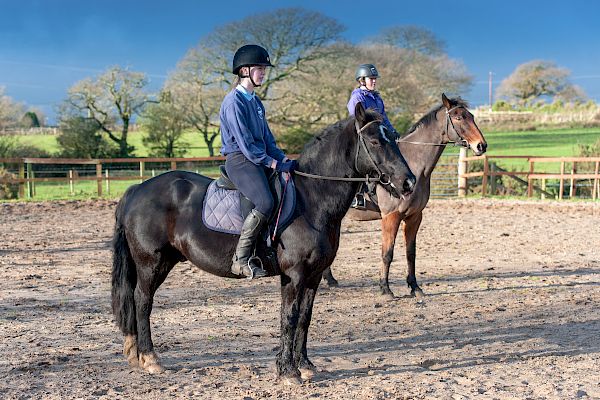 Snowdonia Riding Stables 23rd December