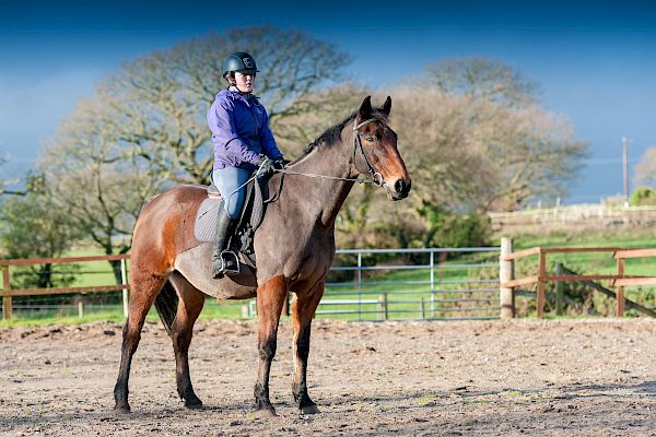 Snowdonia Riding Stables 23rd December