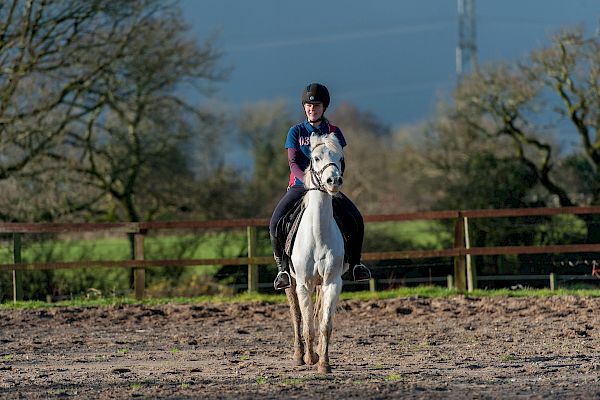 Snowdonia Riding Stables 23rd December