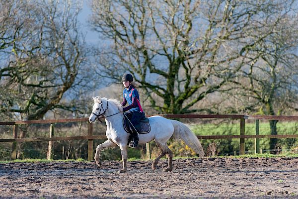 Snowdonia Riding Stables 23rd December