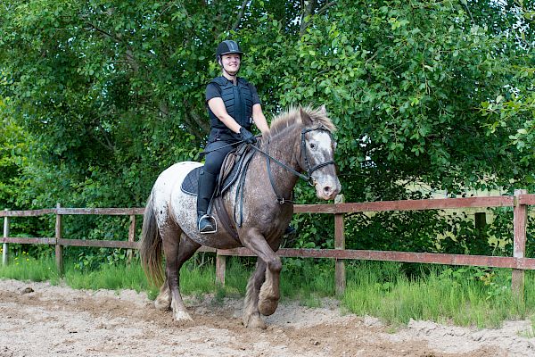 Snowdonia Riding Stables Geoff Billington Clinic