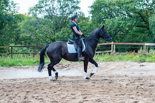 Snowdonia Riding Stables Geoff Billington Clinic