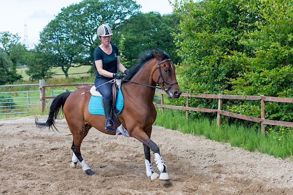 Snowdonia Riding Stables Geoff Billington Clinic