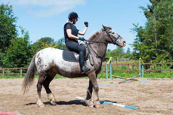 Snowdonia Riding Stables Geoff Billington Clinic