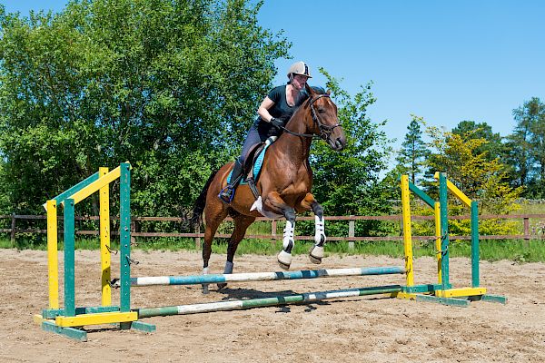 Snowdonia Riding Stables Geoff Billington Clinic