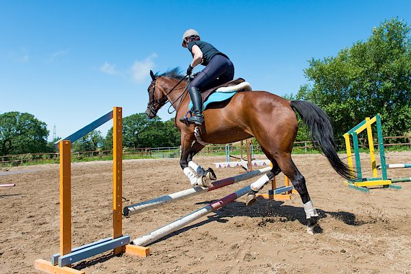 Snowdonia Riding Stables Geoff Billington Clinic