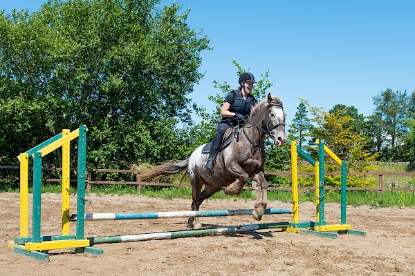 Snowdonia Riding Stables Geoff Billington Clinic