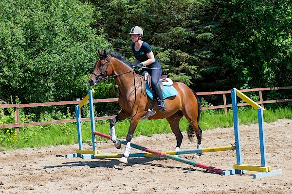 Snowdonia Riding Stables Geoff Billington Clinic