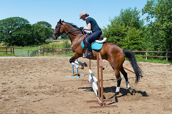 Snowdonia Riding Stables Geoff Billington Clinic