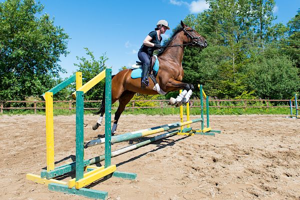 Snowdonia Riding Stables Geoff Billington Clinic