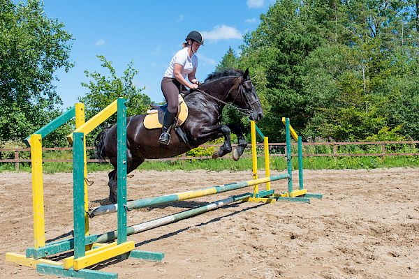 Snowdonia Riding Stables Geoff Billington Clinic